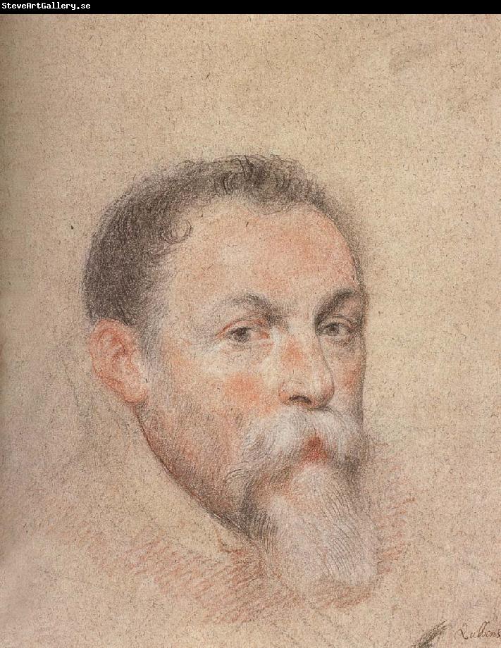 Peter Paul Rubens Portrait of Yien